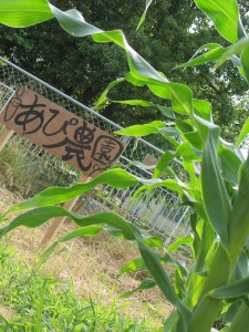 10428603_325832024236394_4700075074526418077_n